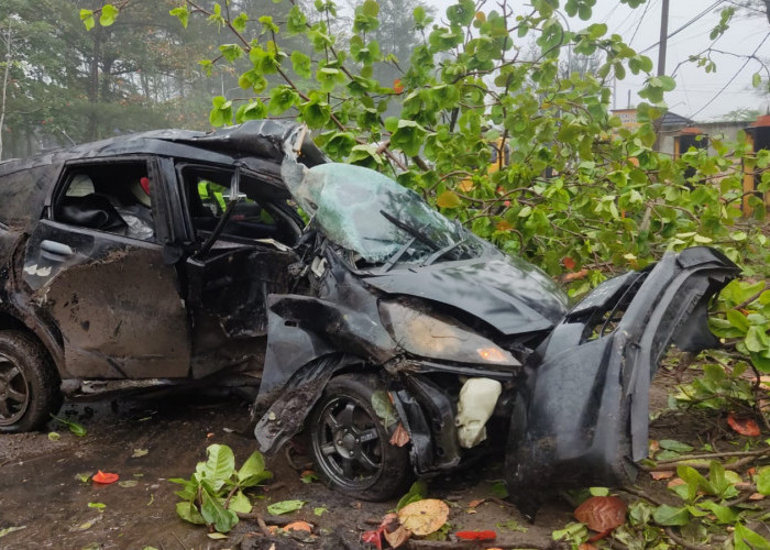 Honda Jazz Remuk Tabrak Pohon di Pantai Panjang, Bagaimana Kondisi Sopirnya?