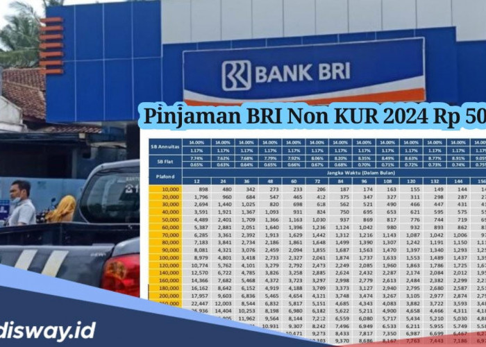 Tabel Pinjaman Rp 500 Juta BRI Non KUR 2024 Bisa Lewat Brimo, Ini Syarat yang Harus Ada