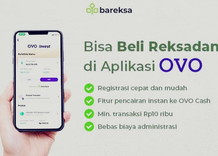 Investasi Modal Rp10 Ribu di OVO Bisa Untung Puluhan Juta, Simak Caranya di Sini