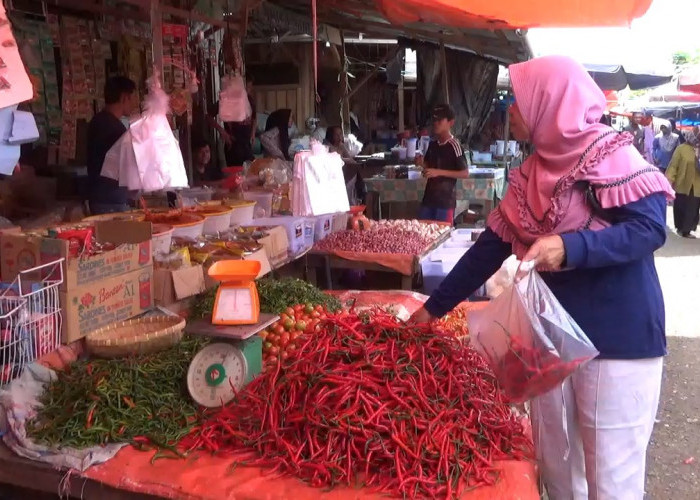 Sempat Anjlok Rp20 Ribu, Harga Cabai Merah Mulai Naik Rp 35 Ribu per Kg