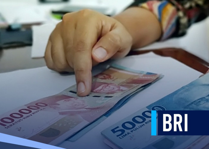 KUR BRI Pinjam Rp 45 Juta, Cicilan Bulanannya Tidak Sampai Rp 900 Ribu, Begini Cara Pengajuannya 