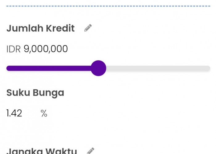 Mau Pinjam Rp9.000.000 Juta di BRI Ceria? Tenang, Cicilan Ringan Syaratnya juga Mudah