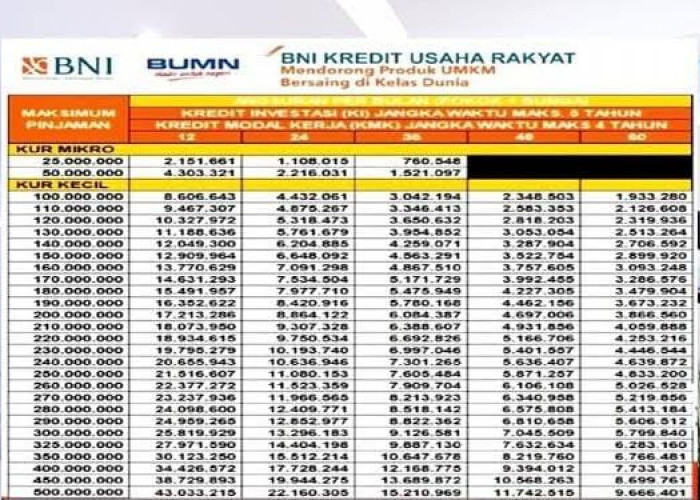 Syarat Dokumen dan Cara Mengajukan KUR BNI Tanpa Agunan Terbaru 2024, Dijamin Lolos