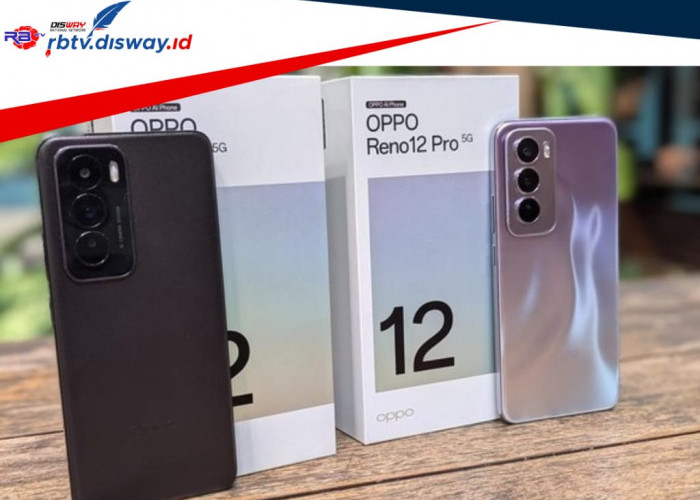 Oppo Reno 12 dan Oppo Reno 12 Pro Resmi Rilis, Cek Spesifikasi serta Harganya di Indonesia