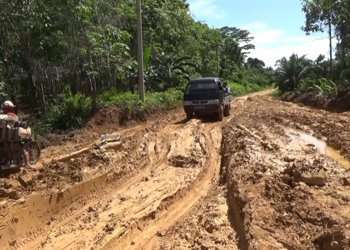 Dapat DAK Rp 31 Miliar, Pemkab Bengkulu Utara Bangun 2 Ruas Jalan Ini