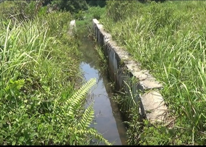 Wilayah Anda Masuk? Dinas Pupr Perbaiki 12 Titik Drainase Permukiman