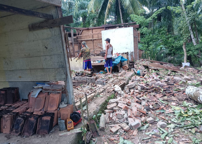 Selain Pohon Karet Timpa Bocah, di Bengkulu Utara Pohon Mangga juga Menimpa Rumah Warga