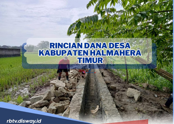 Cek di Sini, Rincian Dana Desa Kabupaten Halmahera Timur Tahun 2024