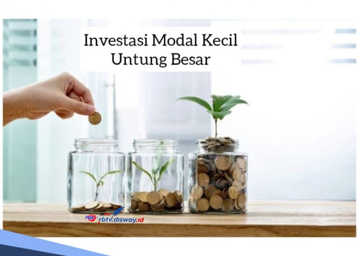 Investasi Modal Kecil Untung Besar, Coba Pakai 5 Jenis Investasi Berikut, Pasti Untung