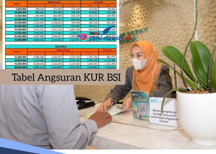 Tabel Angsuran KUR BSI 2024 Pinjaman Rp 25 Juta Sampai Rp 50 Juta, Cicilan Ringan dan Tanpa Bunga