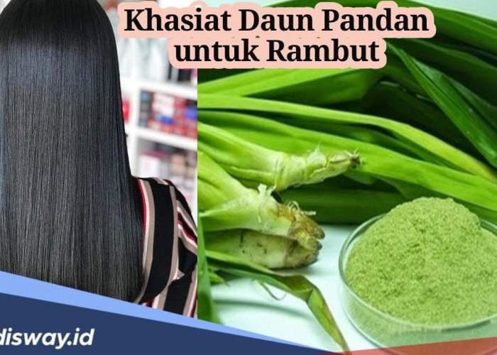 7 Khasiat Daun Pandan untuk Rambut, Solusi untuk Mengatasi Masalah Tanpa Bahan Kimia