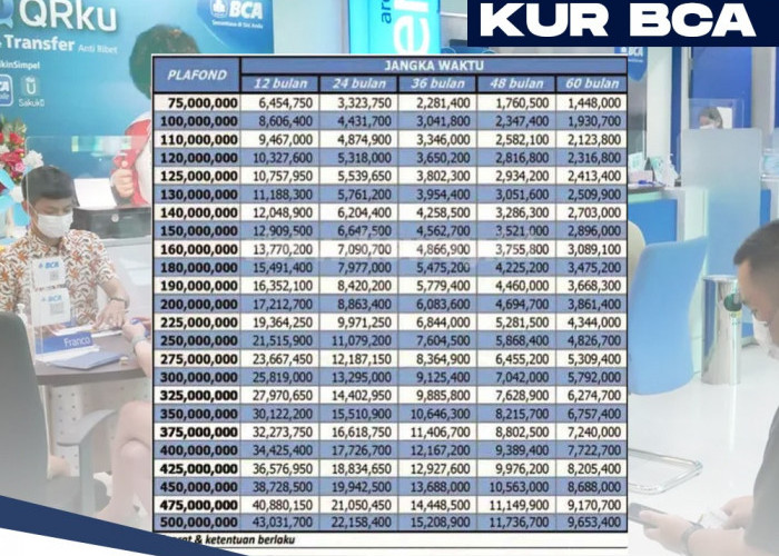 Cara Dapat Kredit Subsidi Bunga Rendah KUR BCA 2024, Ini Tabel Angsuran KUR BCA 2024 Pinjaman Rp 75 Juta 