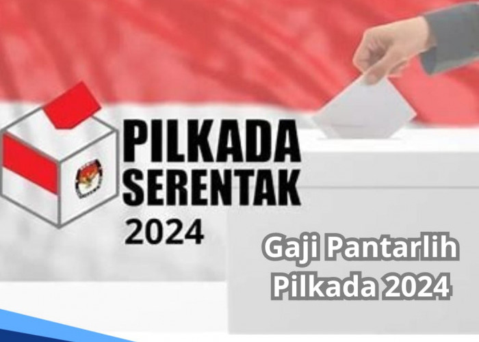 Berapa Gaji Pantarlih Pilkada 2024? Segini Nominalnya yang Ditetapkan KPU RI 