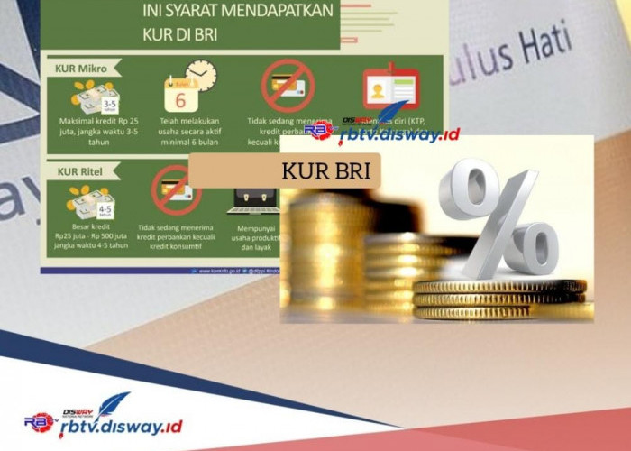 Tabel KUR BRI 2024 Pinjaman Sampai Rp 50 Juta, Ini Update Syarat Pengajuan dan Bunga hanya 6 Persen 