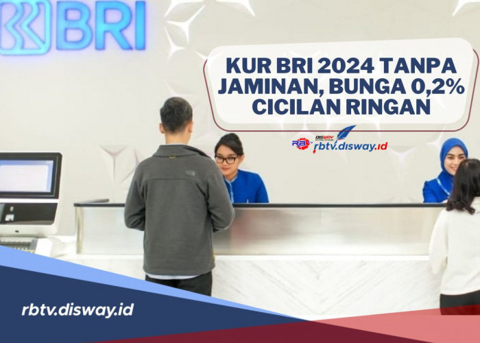 KUR BRI 2024 Tanpa Jaminan, Bunga 0,2 %, Cicilan Ringan, Cek Syarat dan Cara Pengajuannya di Sini