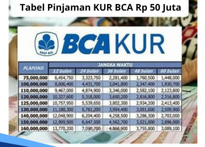 Tabel Pinjaman KUR BCA Rp 50 Juta, Cicilan hanya Rp 900 Ribuan dengan Bunga 6 Persen