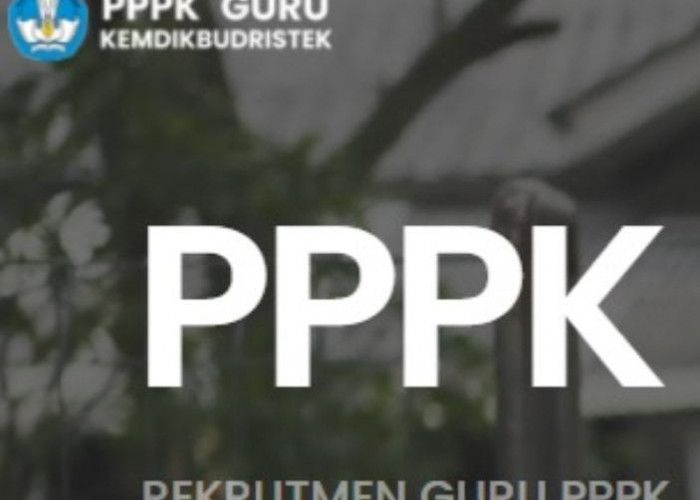 Tanpa Tes, 3.043 Pelamar PPPK Guru Status P1 Langsung Bertugas