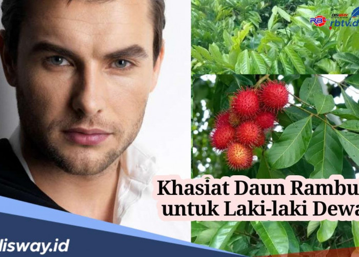 Ini Khasiat Daun Rambutan untuk Lelaki Dewasa Jika Diminum Rutin