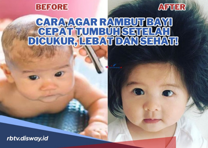 Cukup Dengan Bahan Alami, Begini Cara agar Rambut Bayi Cepat Tumbuh Setelah Dicukur, Lebat dan Sehat