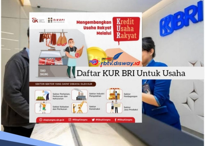 Info KUR BRI 2024 Terbaru untuk Pinjaman Usaha dan Ini Tabel Angsuran Pinjaman Rp 25-200 Juta Bunga Rendah