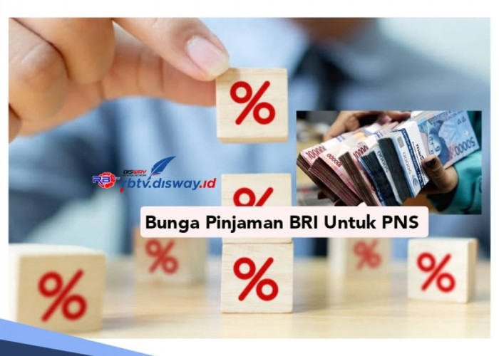 Catat, Segini Bunga Pinjaman BRI Untuk PNS, Cermati Syarat dan Prosedur Pengajuannya