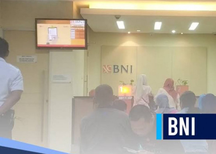 Pinjam Rp 20 Juta di KUR BNI Bisa Cair 3 Hari, Kapan Lagi Dapat Angsuran Rp 300 Ribuan Per Bulan 