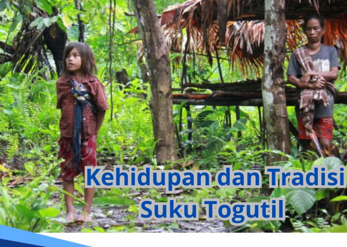 Kehidupan Sehari-hari dan Tradisi Suku Primitif Togutil, Yuk Kenali Lebih Dekat!