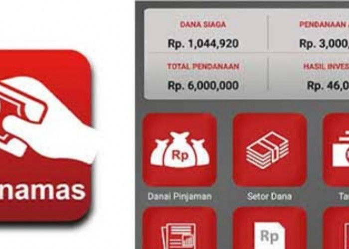 Aplikasi Pinjol Danamas Resmi OJK, Limit Rp7,5 Juta, Proses 24 Jam Cair