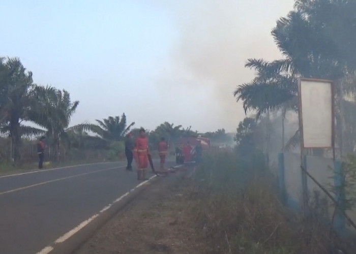 Keempat Kalinya, Lahan BKSDA Kembali Terbakar, Lokasinya Lebih Luas