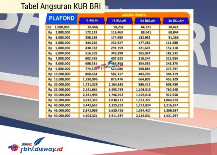 KUR BRI 2024 Cicilan Rp 500 Ribuan, Ikuti Langkah Ini agar Pinjaman Rp 30 Juta Cepat Cair