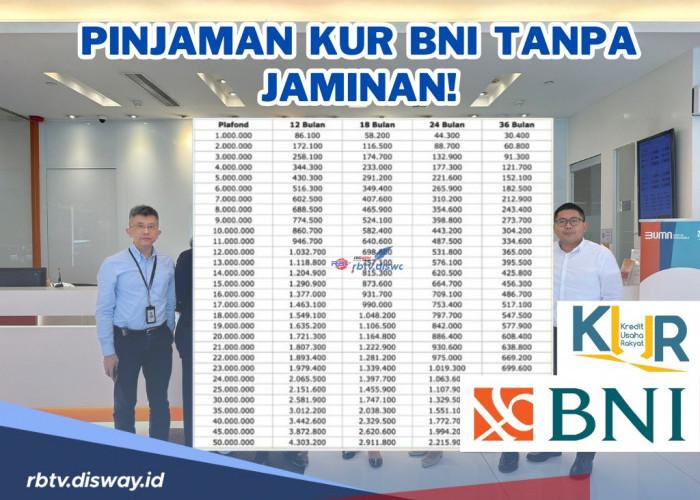 Apakah Bisa Pinjam KUR BNI Tanpa Jaminan? Bisa Dong! Simak Cara serta Syaratnya di Sini