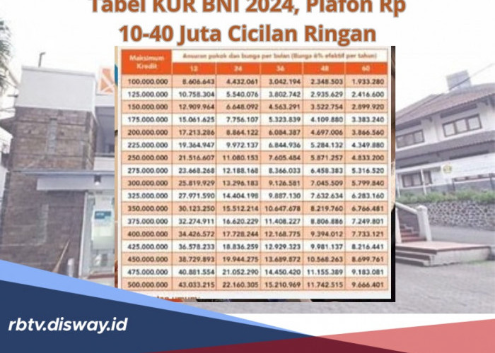 Tabel KUR BNI 2024, Plafon Rp 10 Juta - Rp 40 Juta Cicilan Ringan, Lengkap dengan Syarat dan Cara Pengajuan