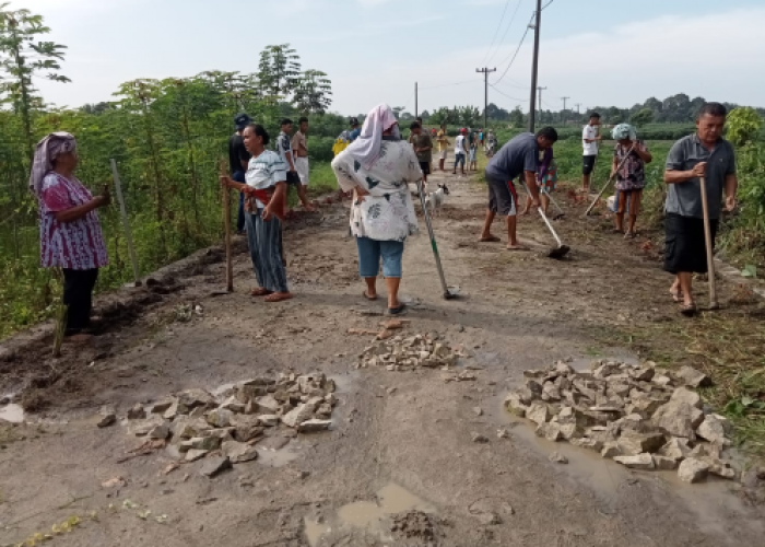 Tabel Rincian Dana Desa di Kabupaten Bone Tahun 2024, Lengkap Semua Desa