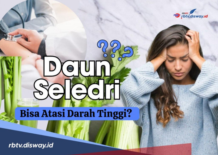 Rahasia Ampuh Cara Menurunkan Darah Tinggi dengan Seledri