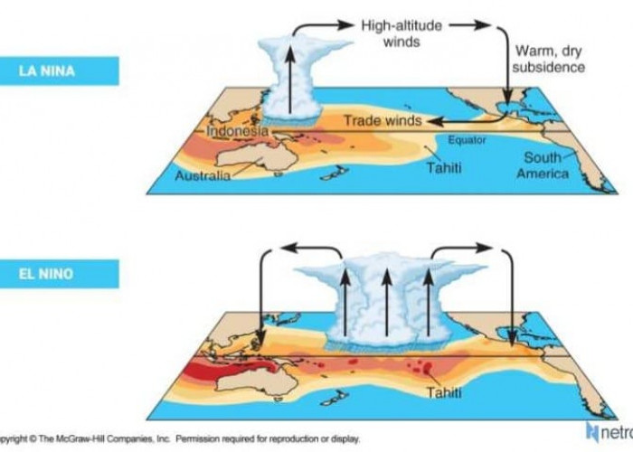 Picu Cuaca Ekstrem, Pahami Perbedaan El Nino dan La Nina