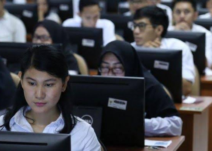 Prioritas CPNS 2024 Fresh Graduate Diutamakan, Simak Berkas Persyaratan dan Cara Pendaftaran 