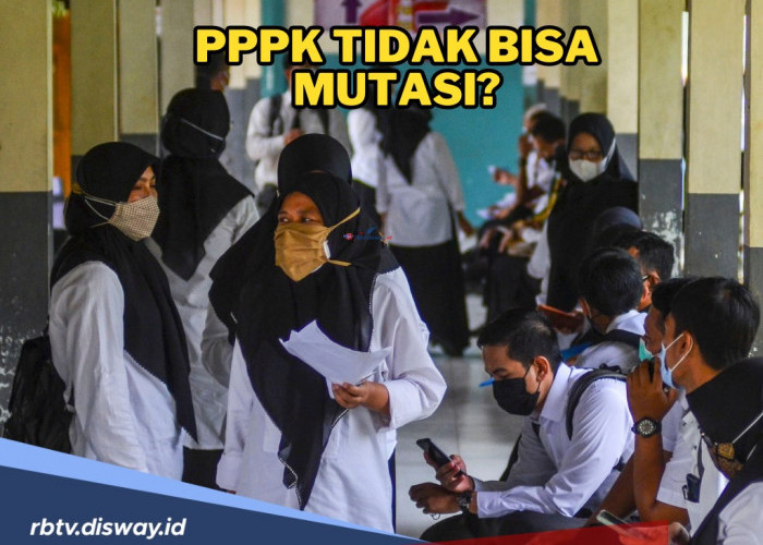 Apakah PPPK Bisa Mutasi? Simak Aturan Lengkapnya di Sini Jika Mau Pindah