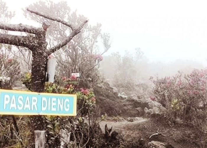 Pasar Setan di Gunung Lawu, Kisah Mistis yang Sangat Tersohor di Kalangan para Pendaki