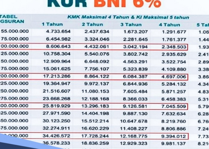 Cek Tabel Angsuran KUR BNI 2024 Pinjaman Rp10-50 Juta, Ada Cicilan Rp193 Ribu