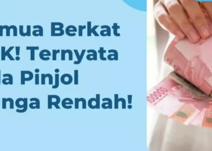 Pinjaman Bunga Rendah Resmi dari OJK, Rp 50 Juta Cair Dalam Hitungan Menit