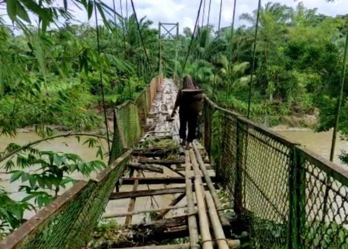 Mencari Rezeki, Warga Padang Manis Harus Bertaruh Nyawa Meniti Jembatan Gantung Reyot 