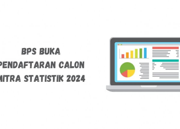 Segini Besaran Gaji Mitra Statistik BPS 2024, Berapa Lama Kontrak Kerjanya?