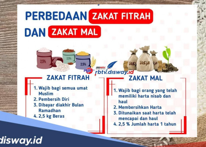 Ini Perbedaan Antara Zakat Fitrah dan Zakat Mal, Lengkap Serta Takaran yang Harus Dikeluarkan