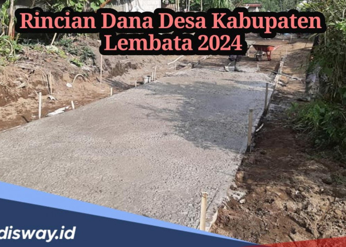 Dana Desa Kabupaten Lembata 2024, Cek Rincian Dana yang Diterima di Setiap Desa 