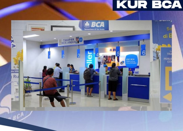 Syarat KUR BCA 2024 Langsung Cair Rp 150 Juta ke Rekening, Pengajuan Bisa Online, Cepat dan Gratis