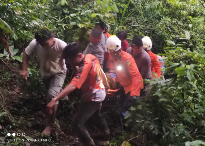 Masuk Jurang di Liku Sembilan, 1 Orang Meninggal Dunia