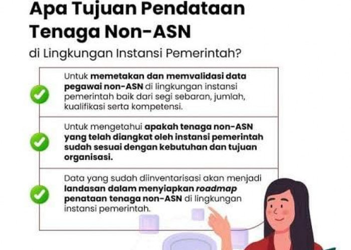 Honorer Simak, Ini Cara Cek Data Non ASN di BKN Tahun 2024, Berikut Link Aksesnya