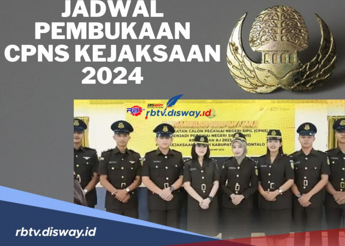 Catat Ini Jadwal Pembukaan CPNS Kejaksaan 2024, Cek Syarat dan Cara Pendaftarannya di Sini 