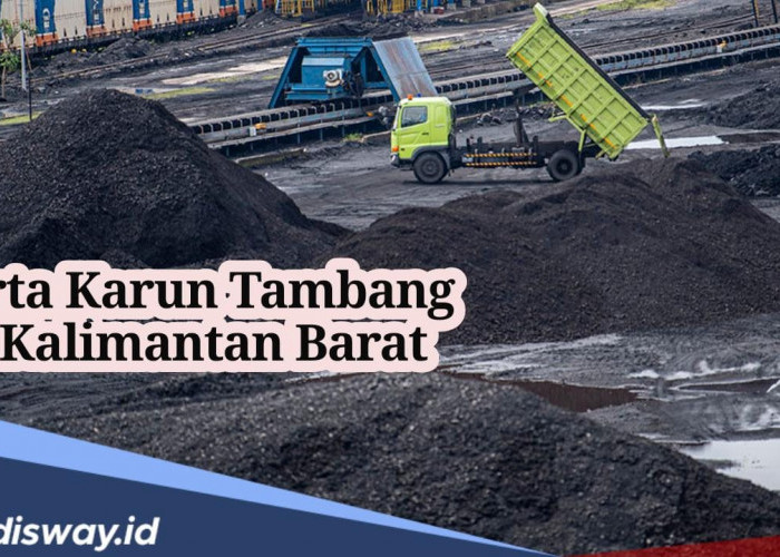 Tak Habis-habis! Segini Potensi Harta Karun Tambang di Kalimantan Barat