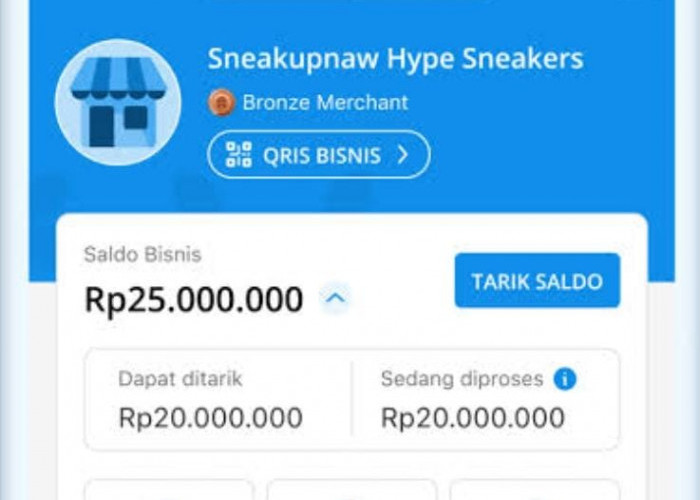 Cairkan Saldo DANA Paylater Jadi Uang Tunai, Begini Caranya